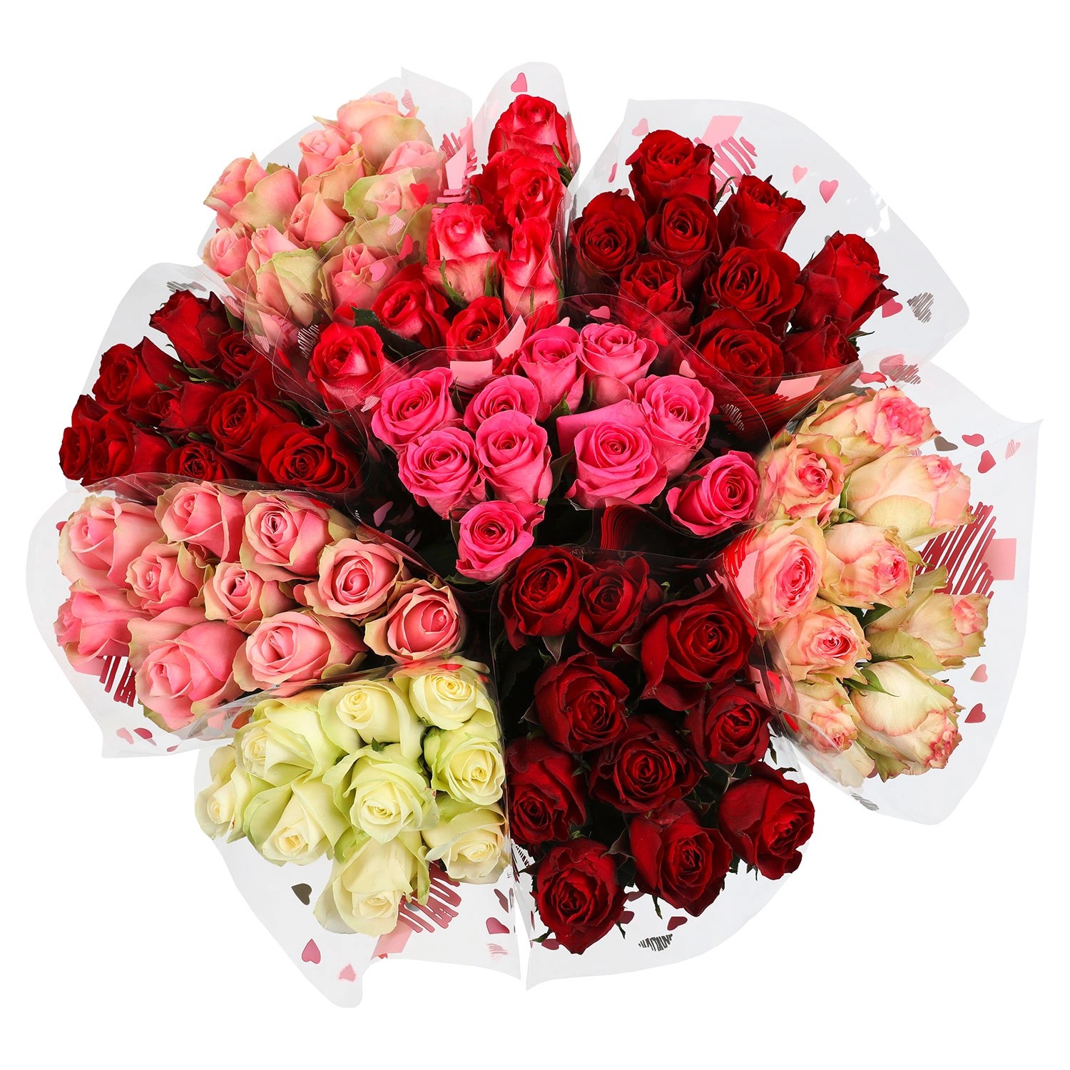 PremiumLonglifeRosen ALDI SÜD