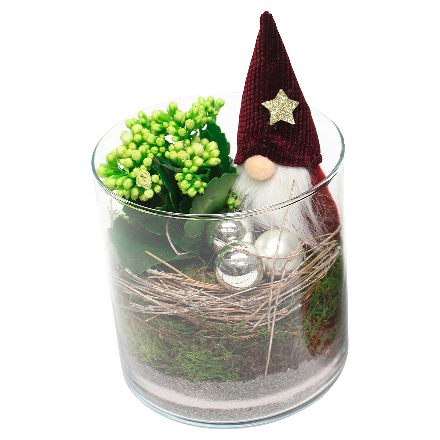 GARDENLINE Weihnachtliches Arrangement ALDI SÜD