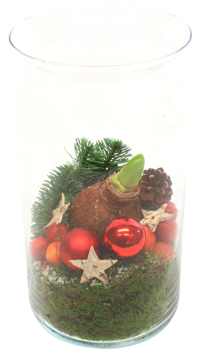 GARDENLINE Weihnachtliches Arrangement ALDI SÜD