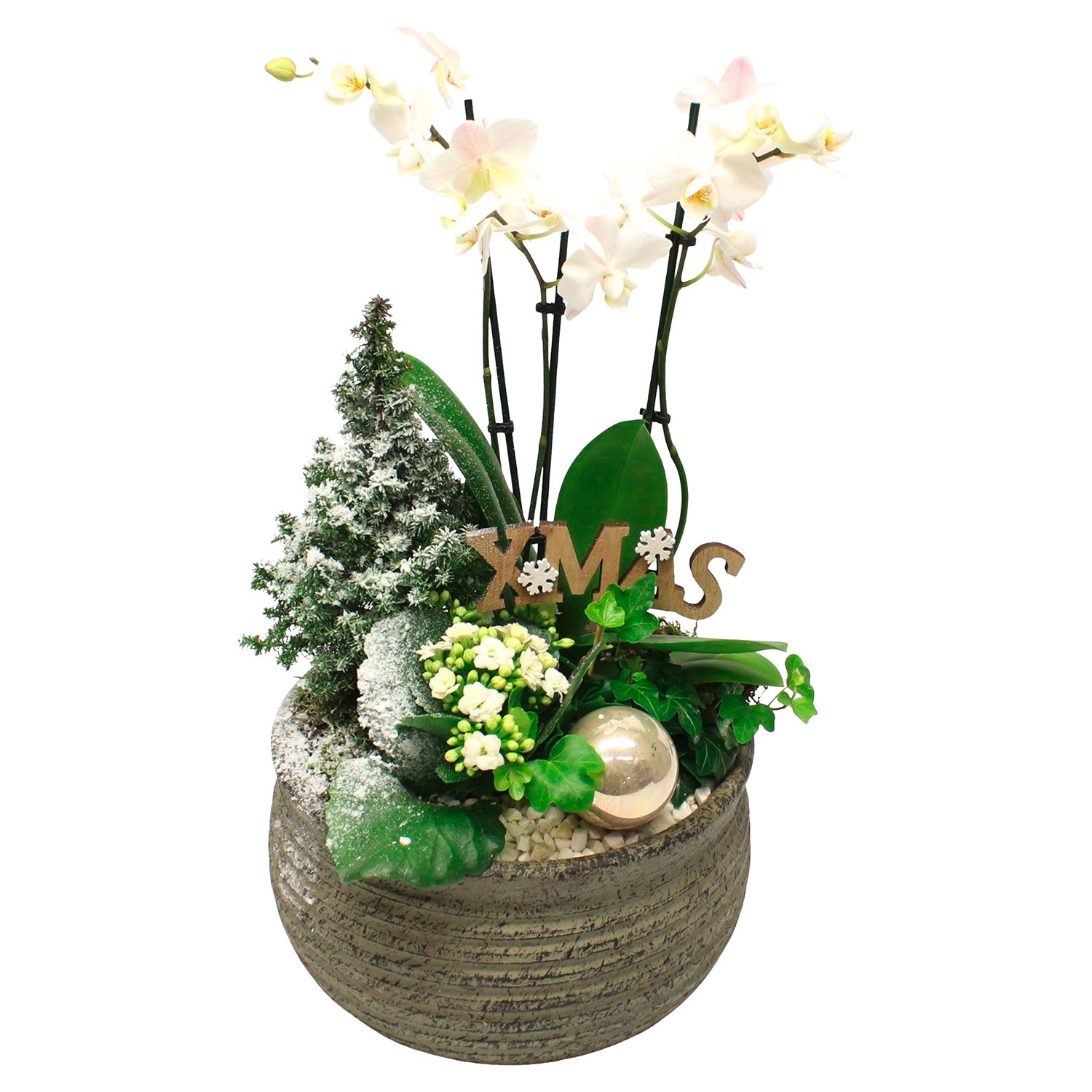 GARDENLINE Weihnachtliches Arrangement ALDI SÜD