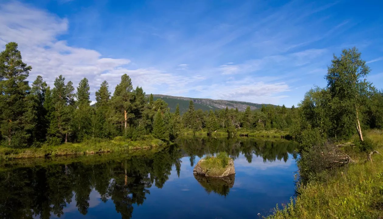 East of Sweden Road Trip