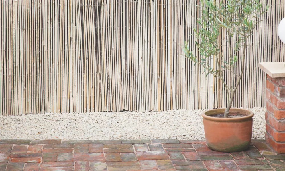 Garden Screening Fencing