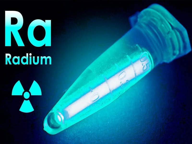 Education Interesting facts 17 December 2021 Saachi Baat