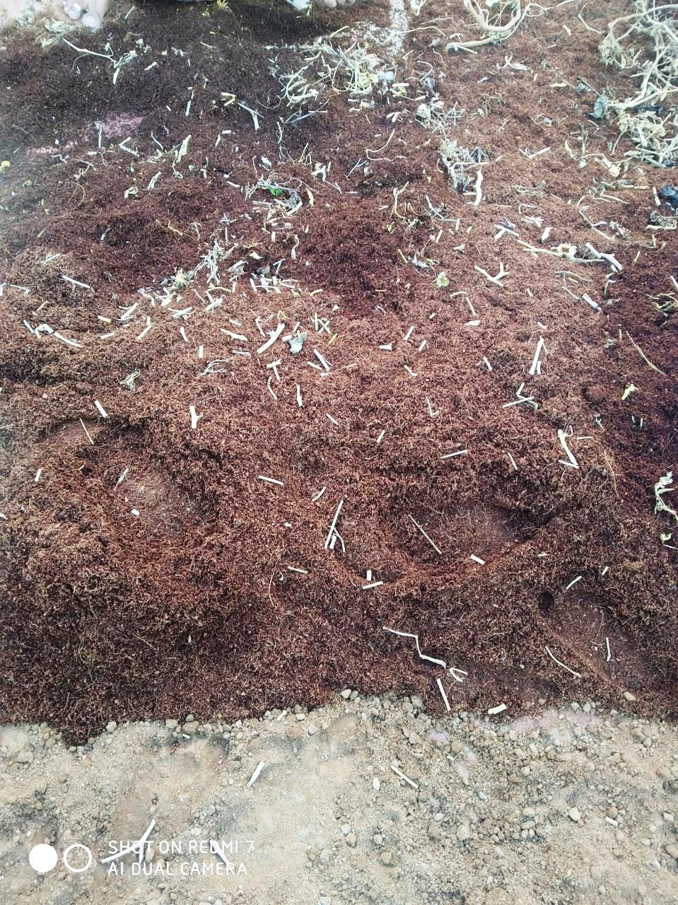 Easy way to reuse old pot mix Never waste used pot mix Revive it