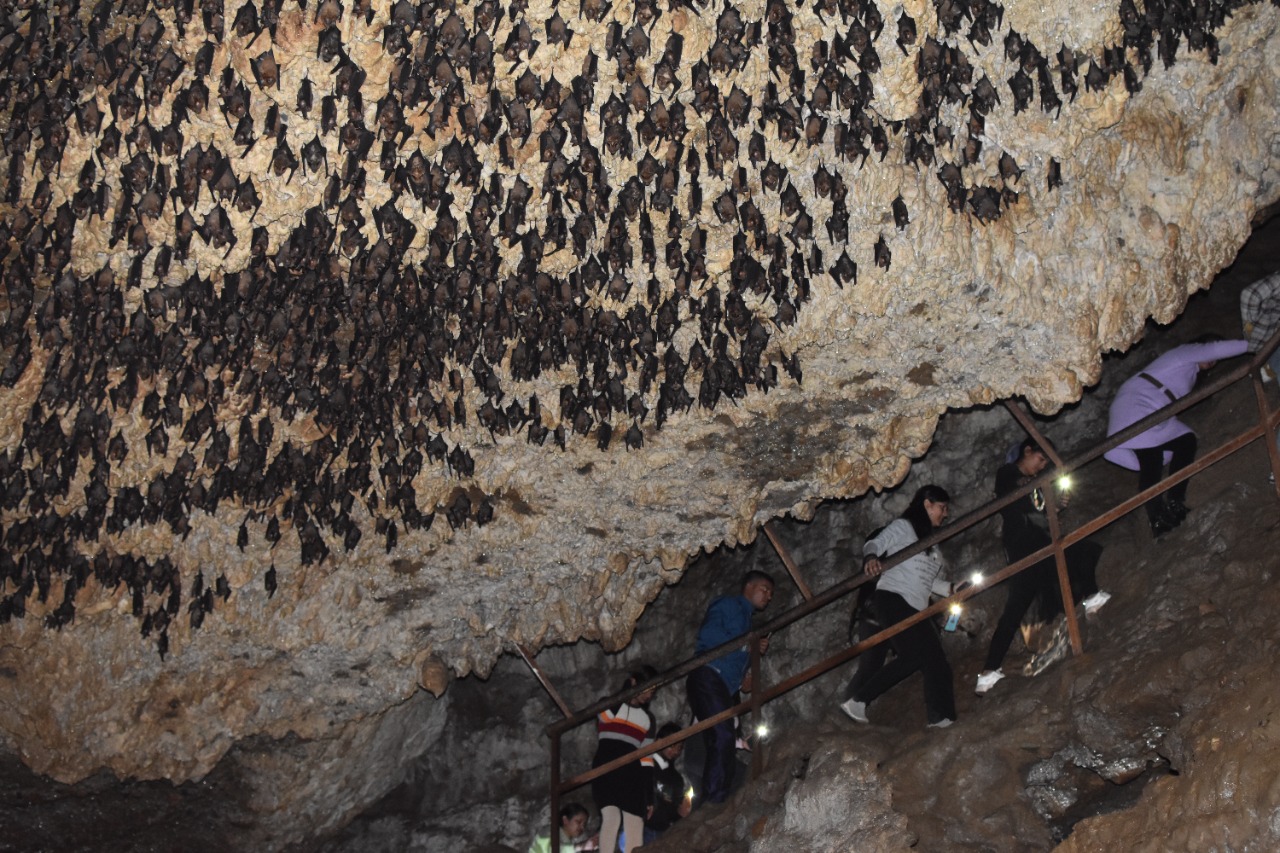 Chamero Gufa Saarang