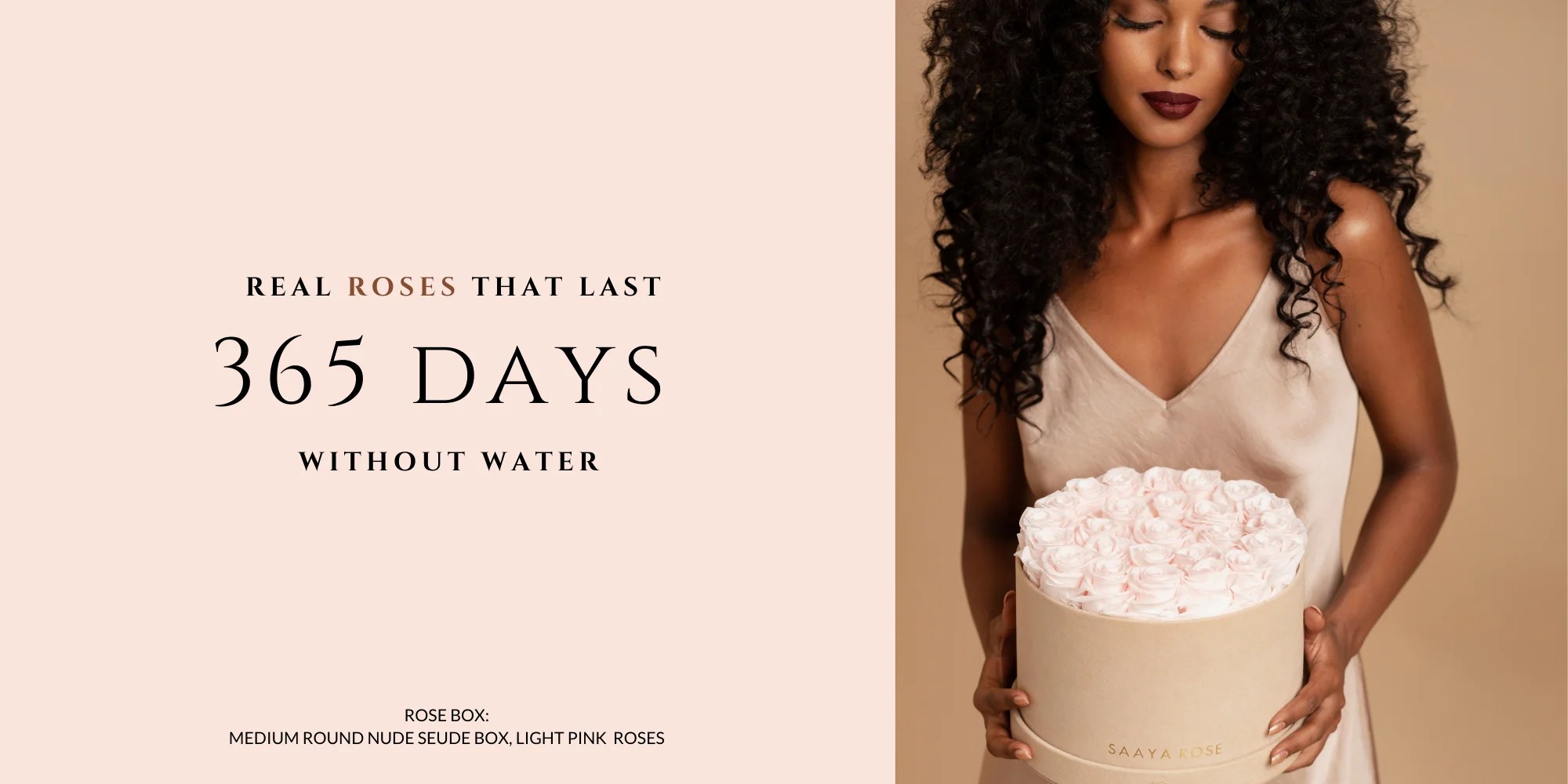 Saaya Rose Real Roses That Last a Year