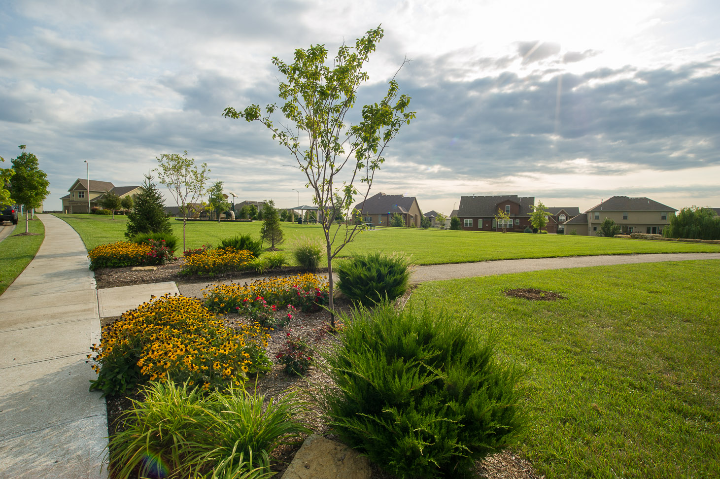 Benson_Place_View1 SAB Homes
