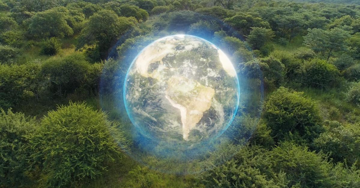 Documentaire Terre, La vie cachée d'une planète