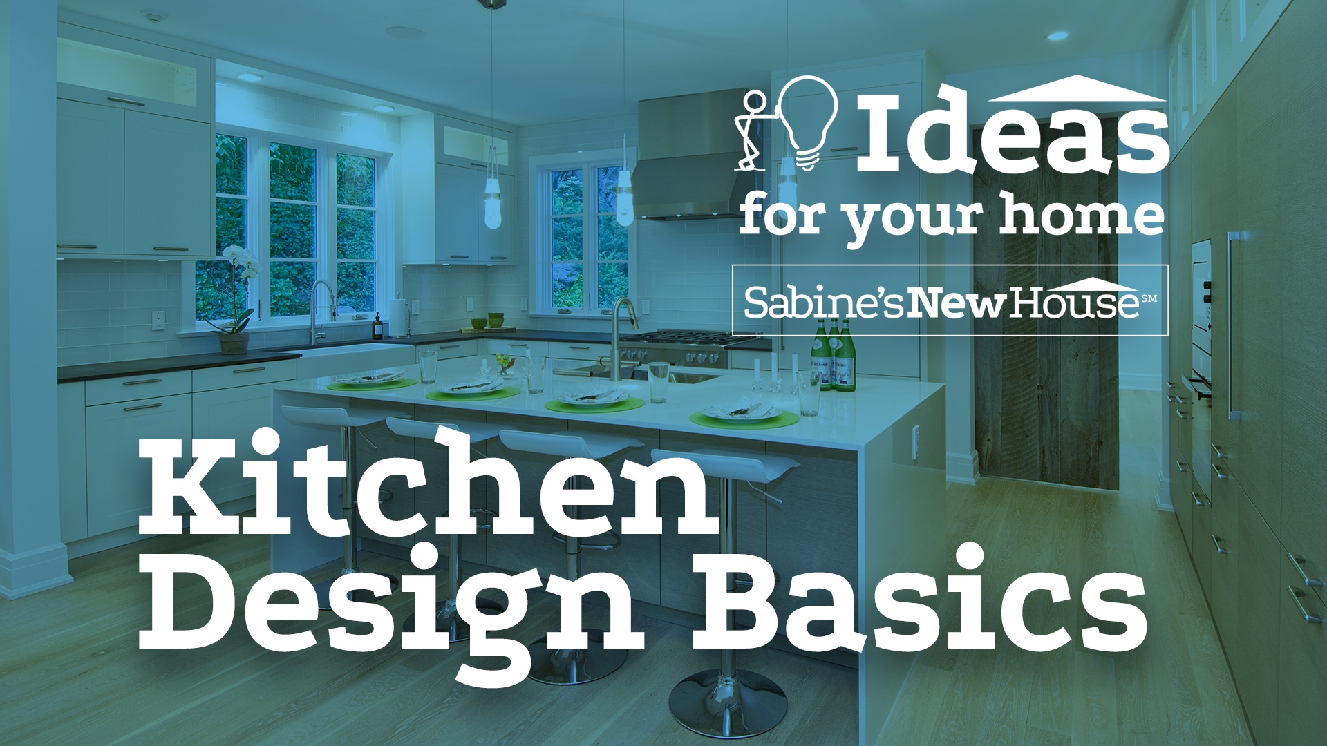 Kitchen Design Basics Ideas For Your Home Sabine's New House