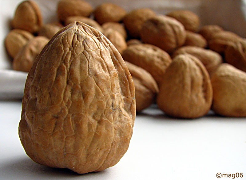 Las nueces y la salud Sabor de Familia