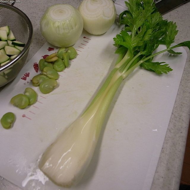 Cómo hacer un jugo de apio depurativo: 5 recetas para. Natursan