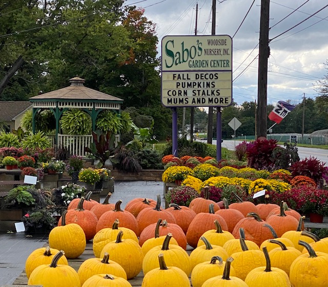 Retail Sabo's Woodside Nursery & Garden Center