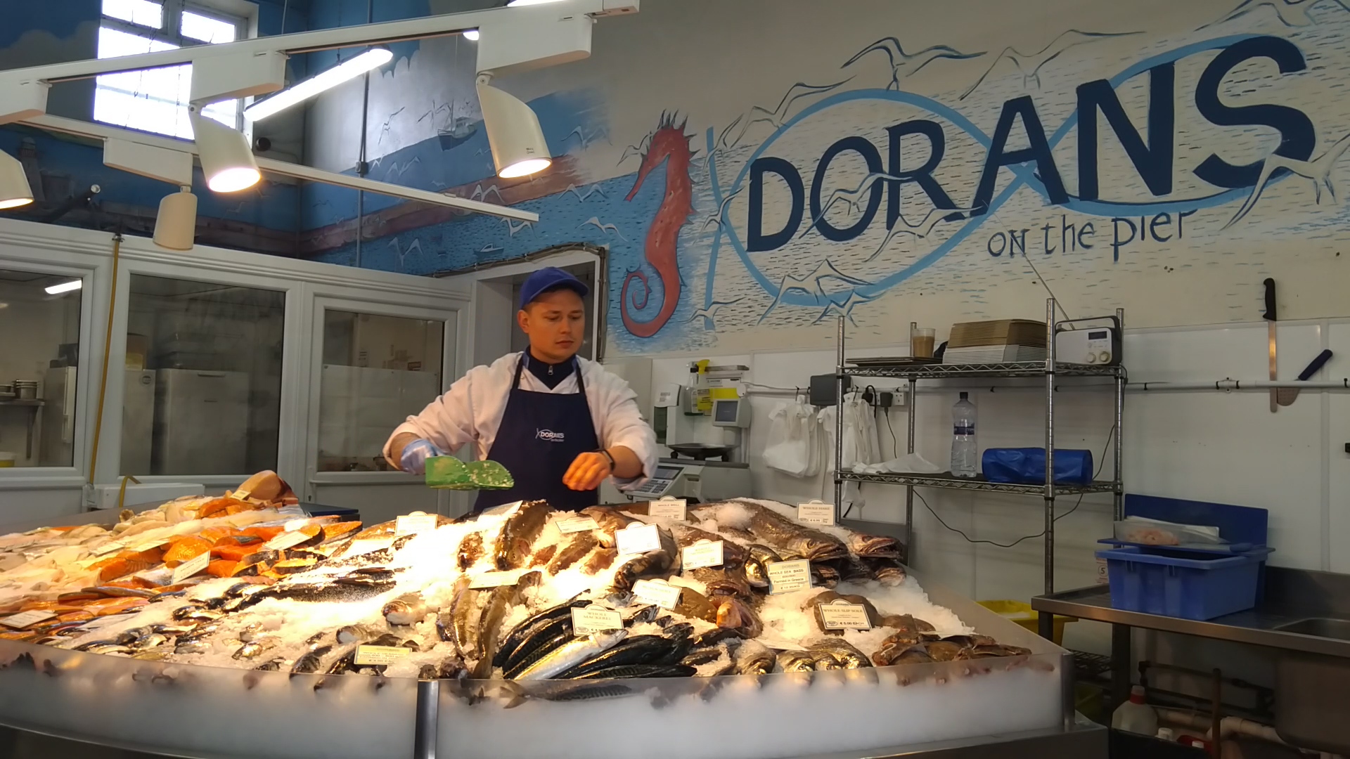 Fish dorans Sabrina Gaffney journalism