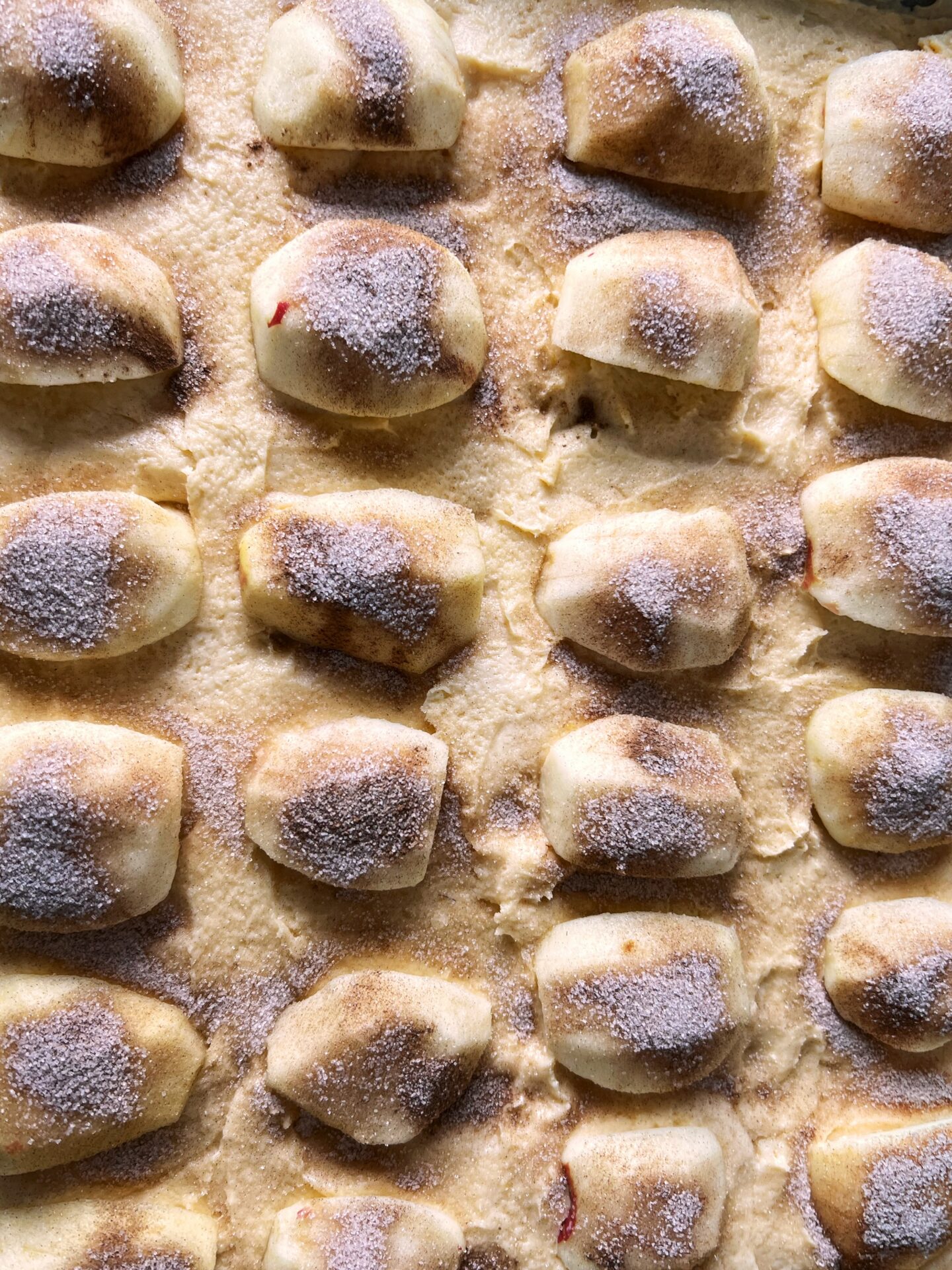 Cinnamon Apple Sheet Cake sabrina's table