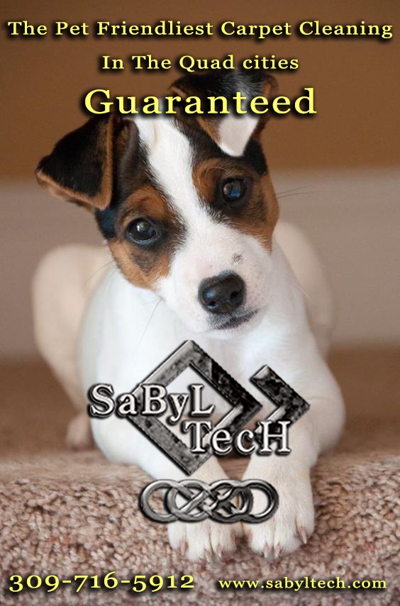 Top Rated Carpet Cleaning Quad Cities Sabyl Tech Cleaning Services