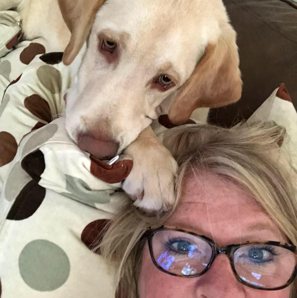 Top Rated Carpet Cleaning Quad Cities Sabyl Tech Cleaning Services