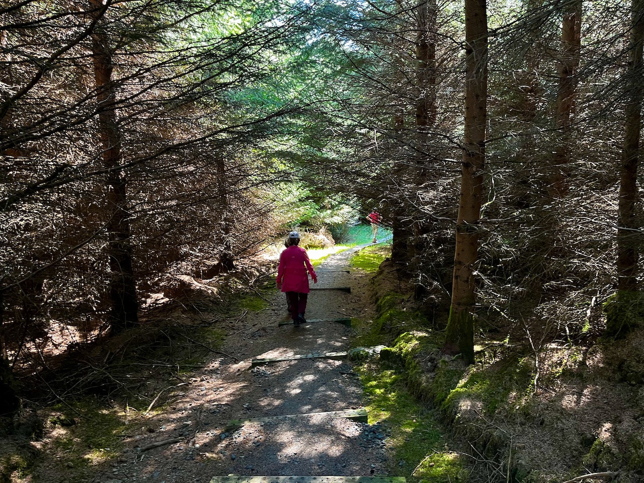 パドックヒル Paddock Hill Sachan in Europe agrandie