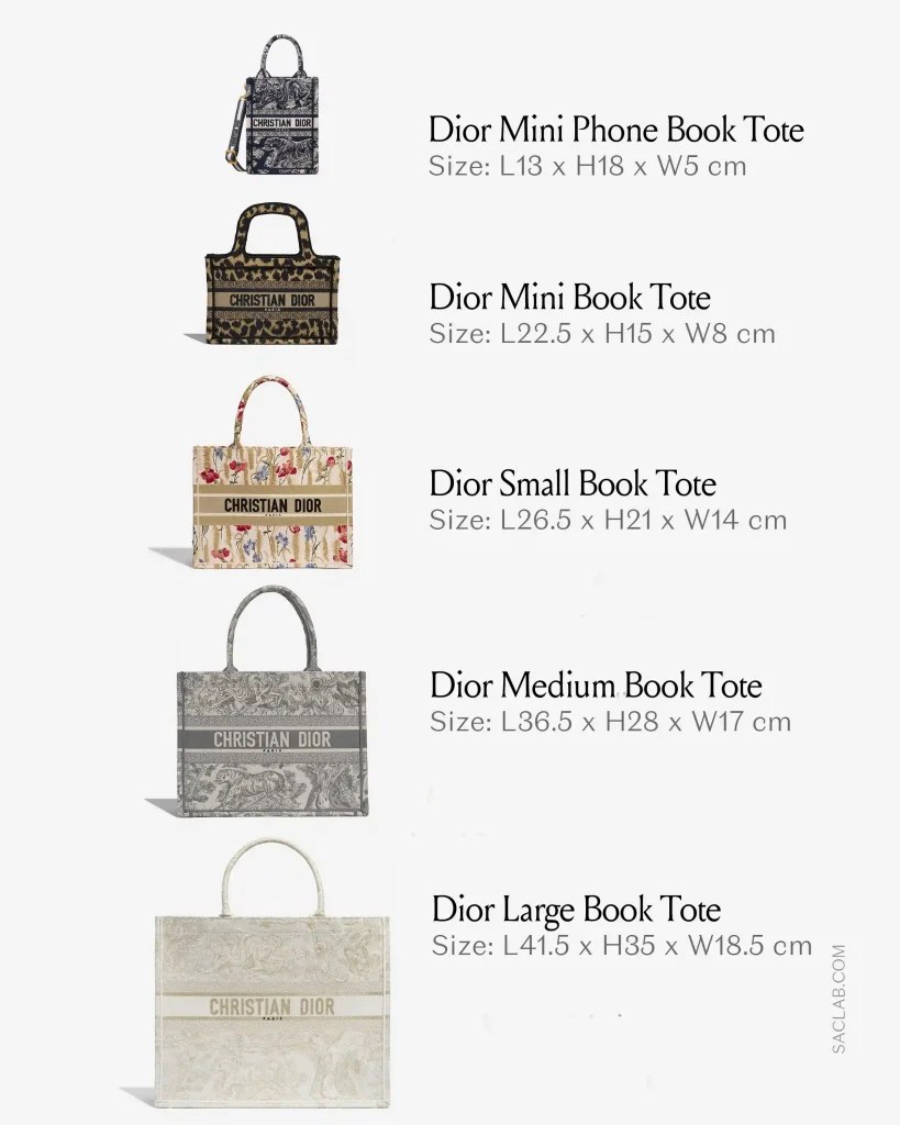 Dior Book Tote: Der große Guide zur Kult-Tasche | SACLÀB