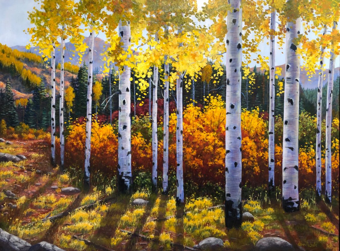 Artist Directory John Nichols Verge Art Sac Open Studios