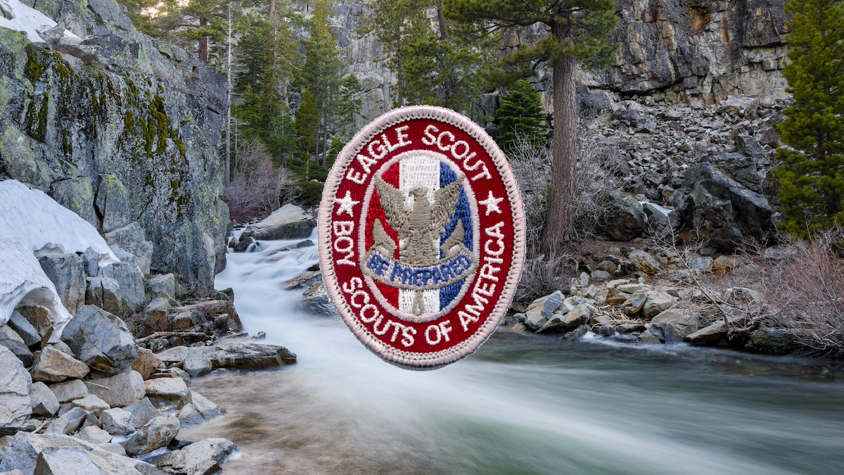 50+ Eagle project ideas that have a conservation focus