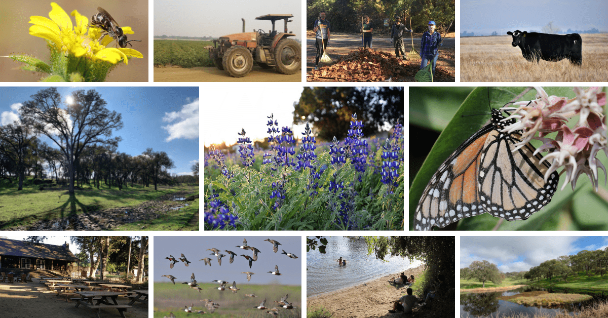 Donate Now Sacramento Valley Conservancy