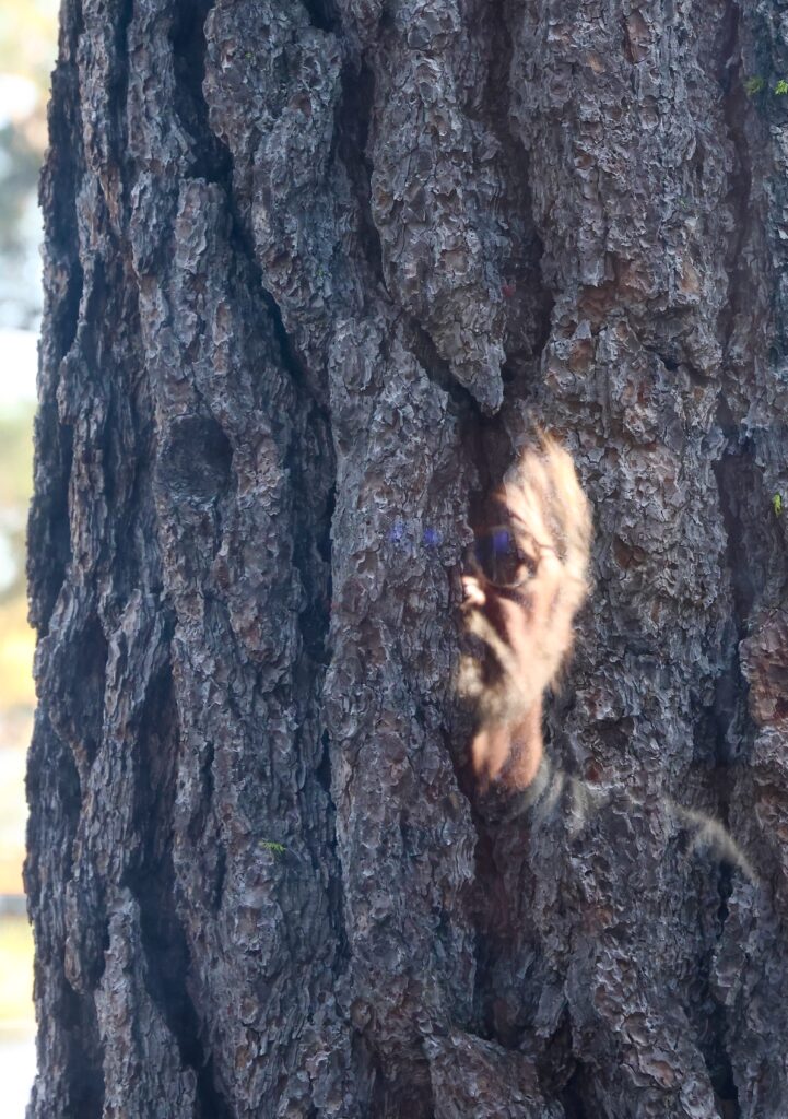 Staff Bios Sacred Land