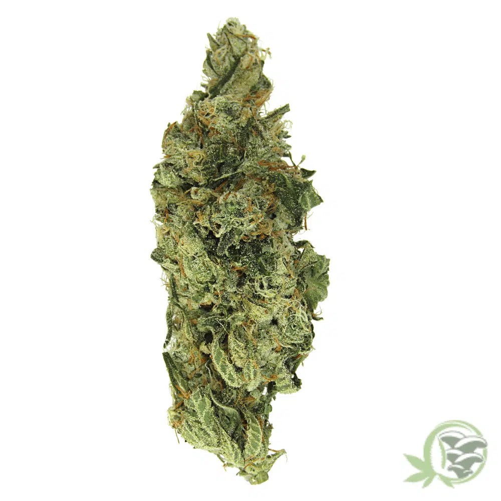 Pineapple Express Sativa Dominant Hybrid Strain SacredMeds