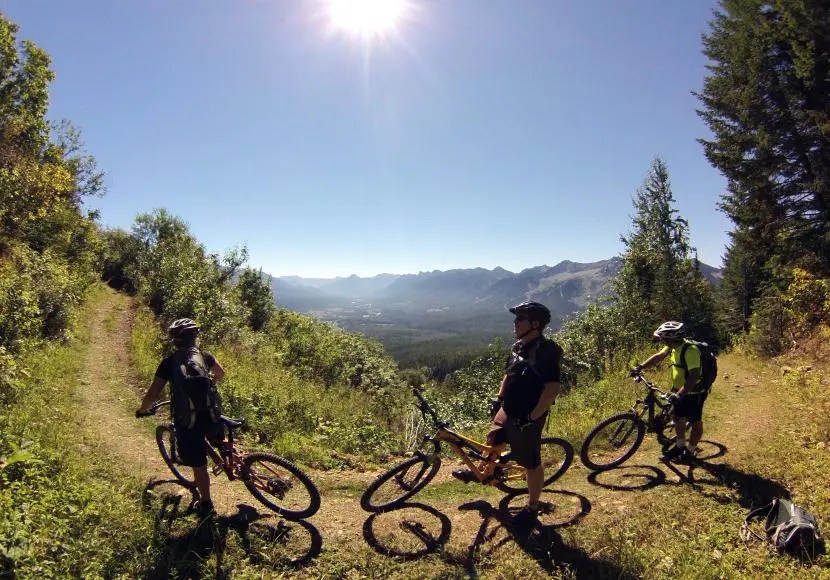 Fernie Mountain Biking The Top 10 Trails Sacred Rides