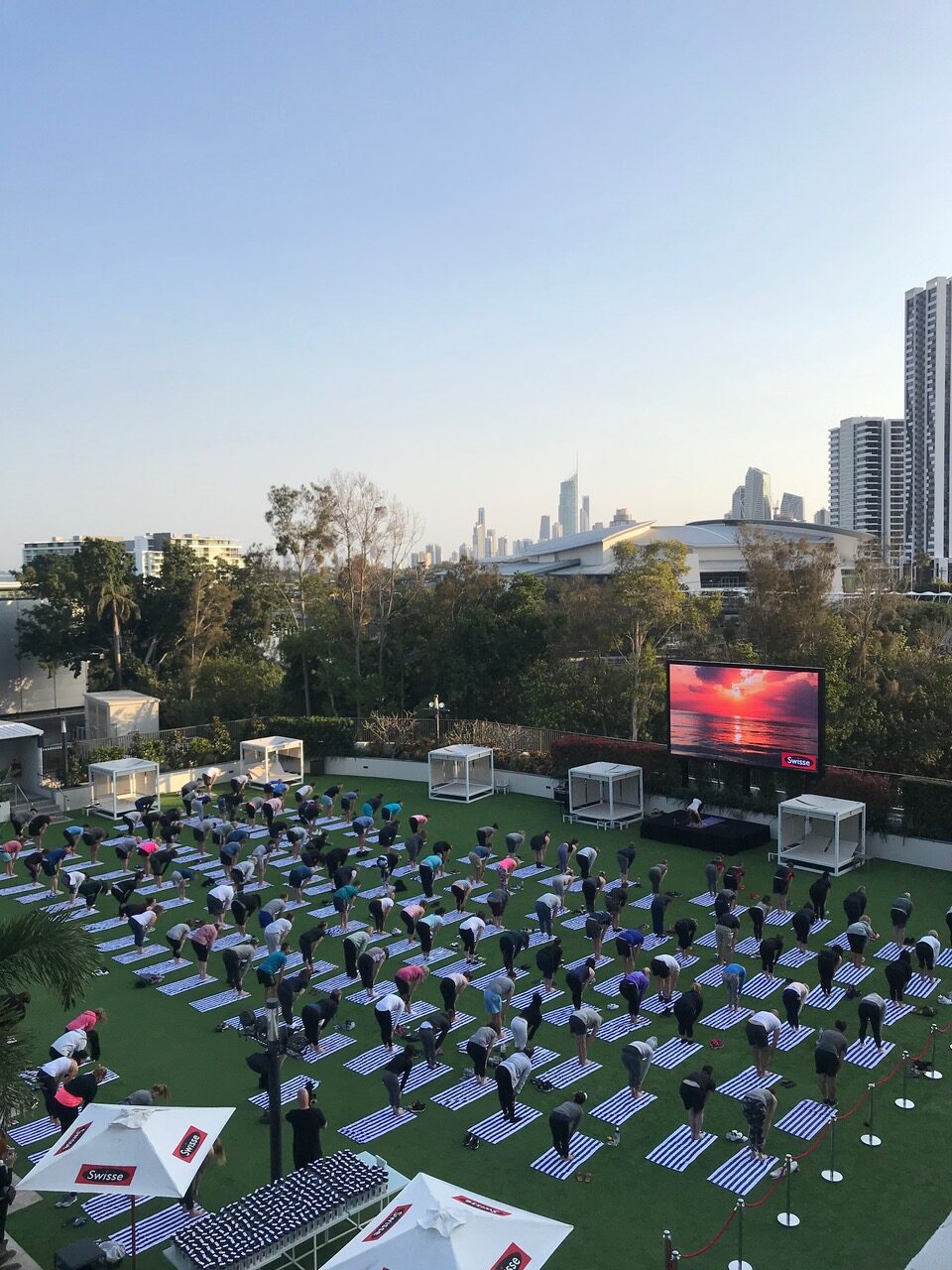 Corporate Yoga Classes Gold Coast Susie Tagarro