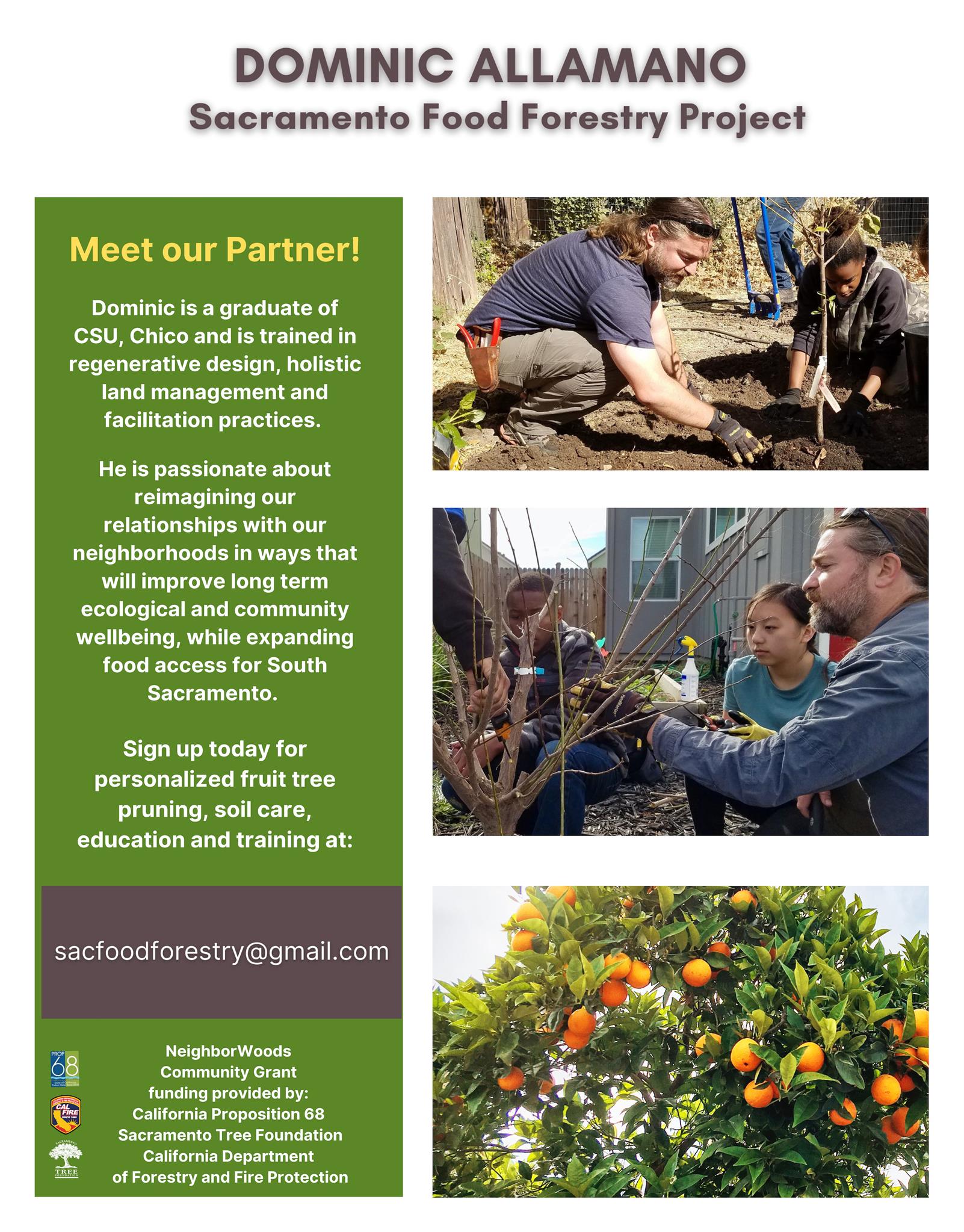 Free fruit tree pruning & advice for South Sacramento Sacramento Tree Foundation