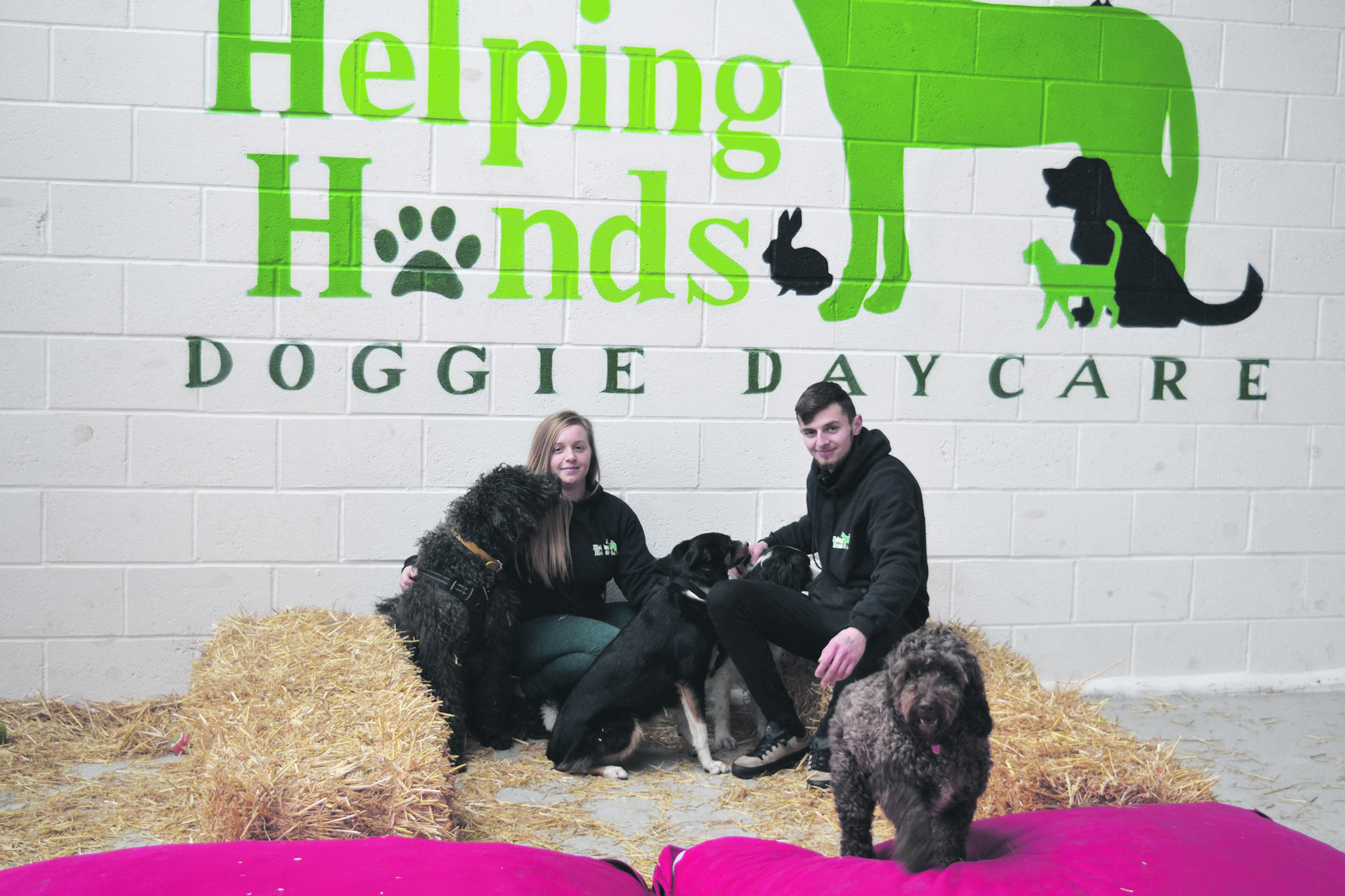New doggie day care centre is happy tail for Gemma and John