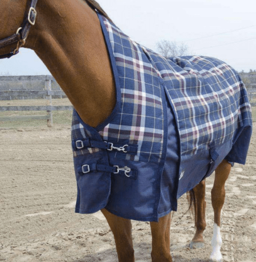 Horse Rugs Horse Rugs For Sale