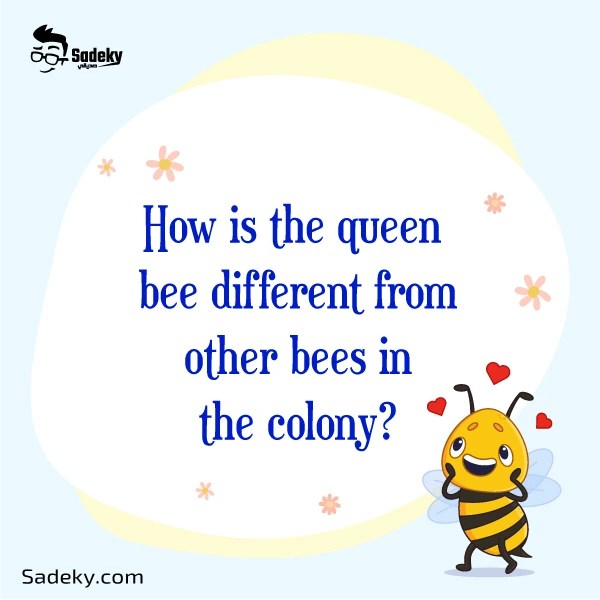 Questions About Bees For Preschoolers Fun Facts About Bees Sadeky