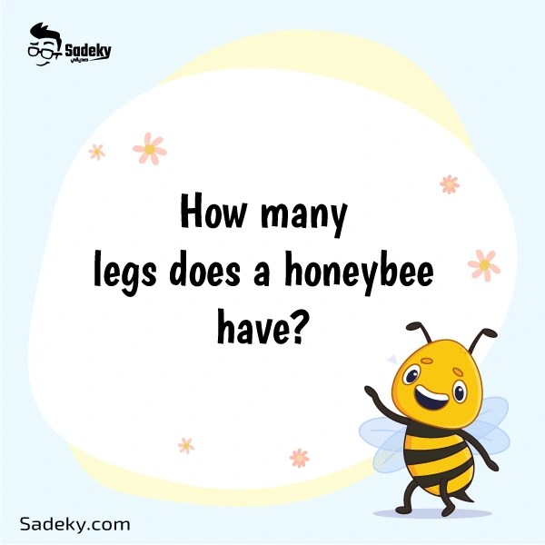 Questions About Bees For Preschoolers Fun Facts About Bees Sadeky