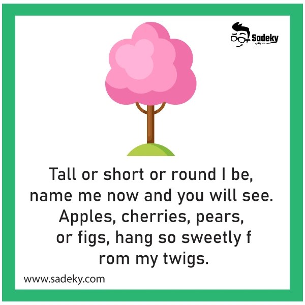 Best Riddles About Trees With Answers For Kids Sadeky