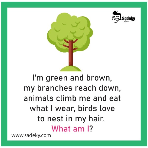 Best Riddles About Trees With Answers For Kids Sadeky