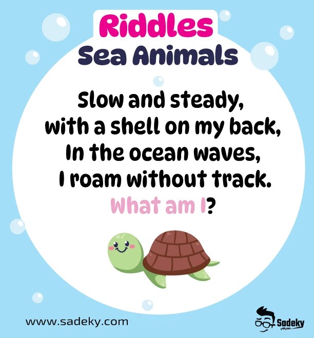 19 Easy Sea Riddles For Kids With Answers What Am I? Sadeky