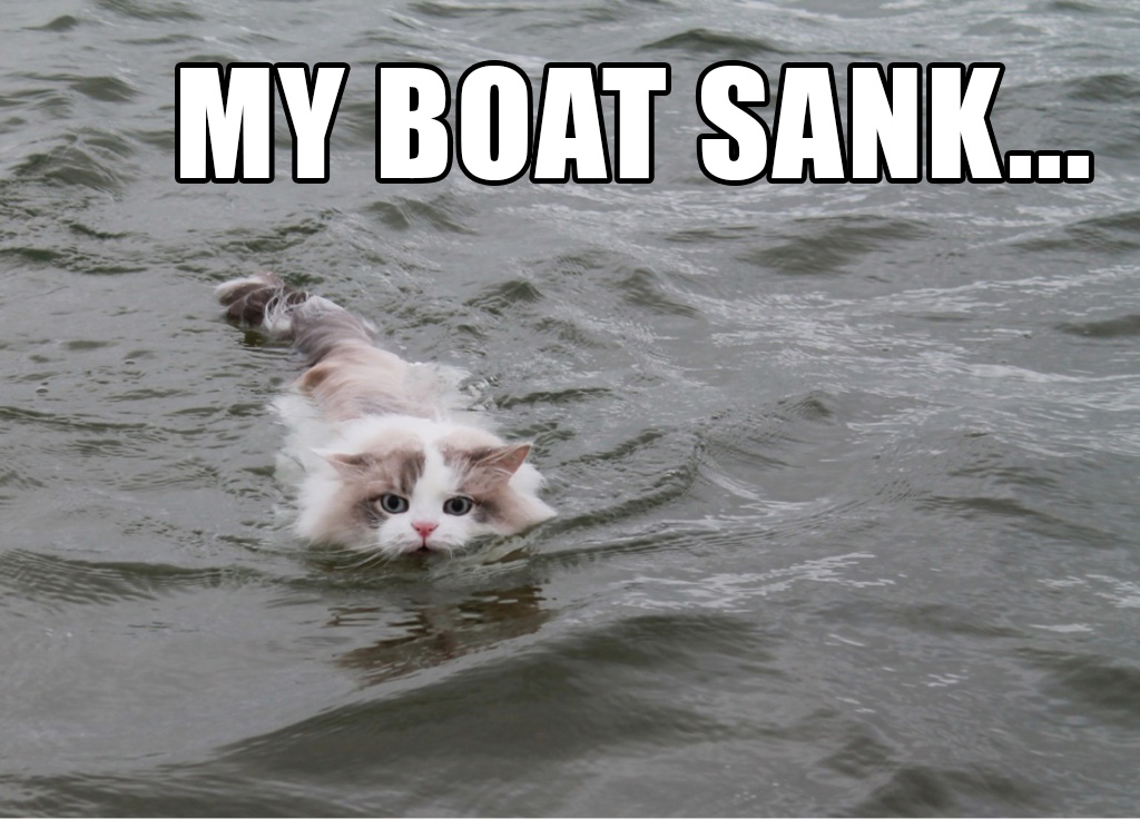 These are for posting in the facebook event for a party on our houseboat. Relevant newest # fail # boat # speedboat # spped boad # summer # monkey #. Cat Takes Its Boat Out While On Catnip Learning a Valuable Lesson