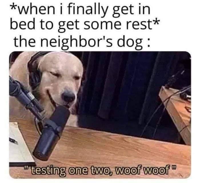 *when I finally get in bed to get some rest Sadog Meme World