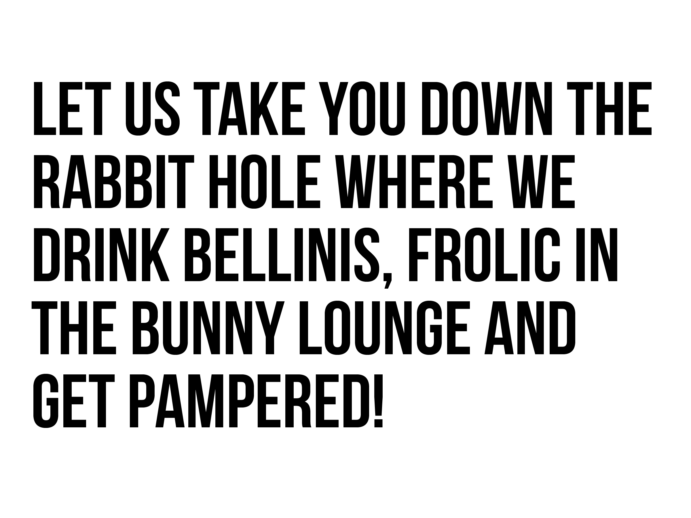 Bronzed Bunny SADV design