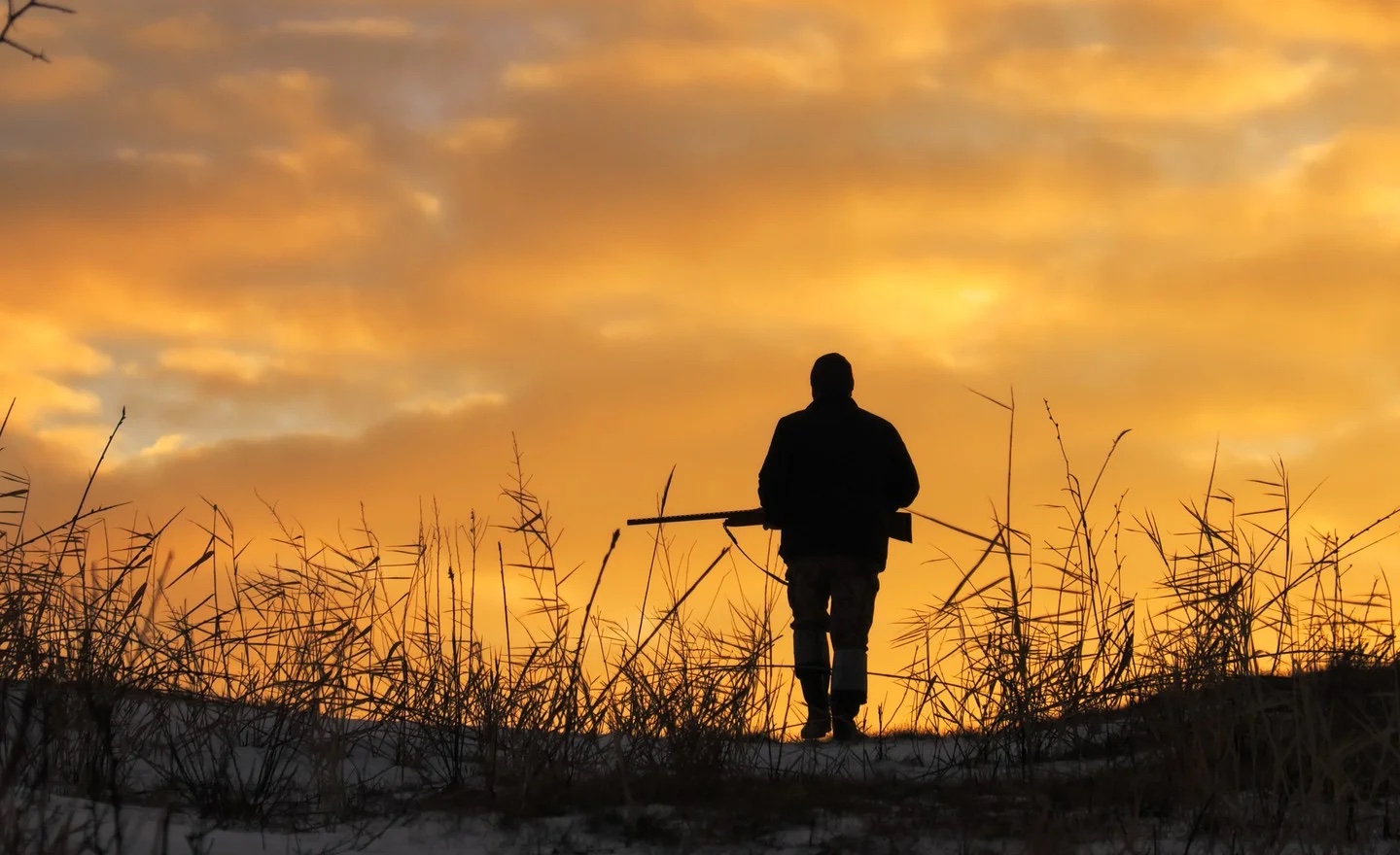 Why Legal Hunting Can Actually Save Wildlife Not Harm It Safari Club