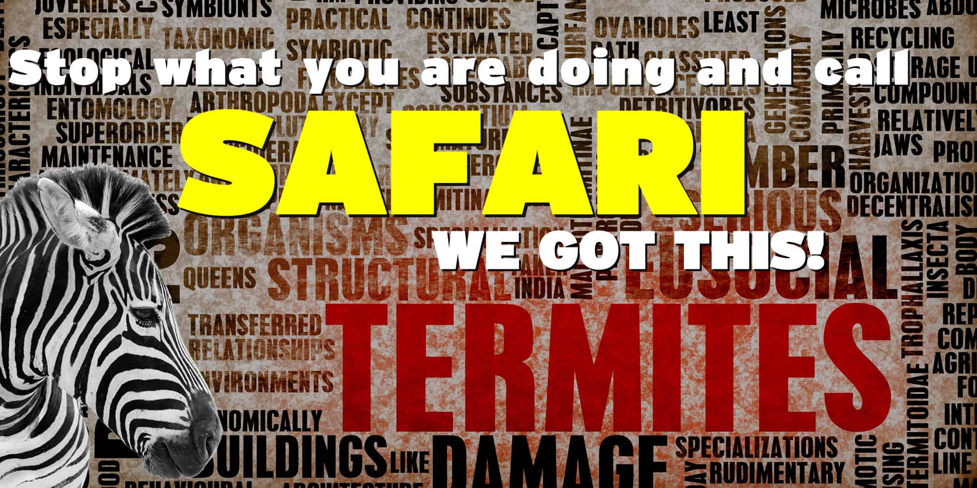 Termite Service Safari Lawn Care