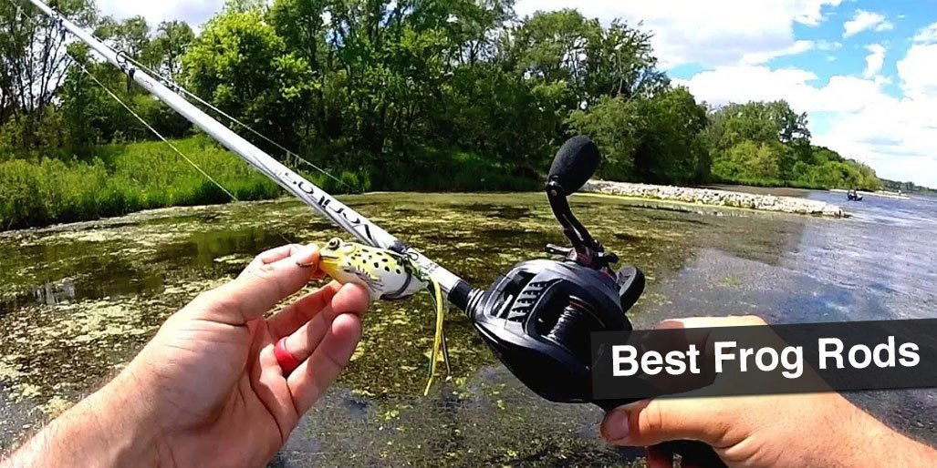 Best Frog Rod in 2021 Enjoy the Perfect Frogging