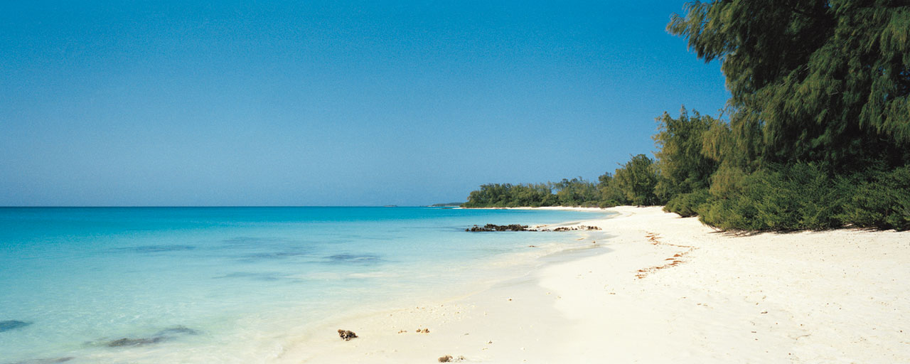 Retrouvez Limage Originale De La Plage Que Cachent Les Manchots