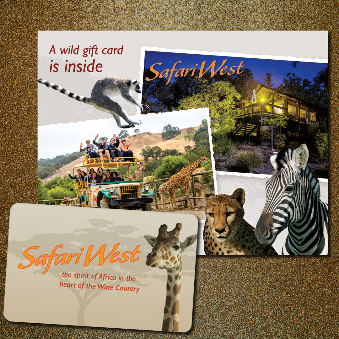 Wild Gift Cards Safari West