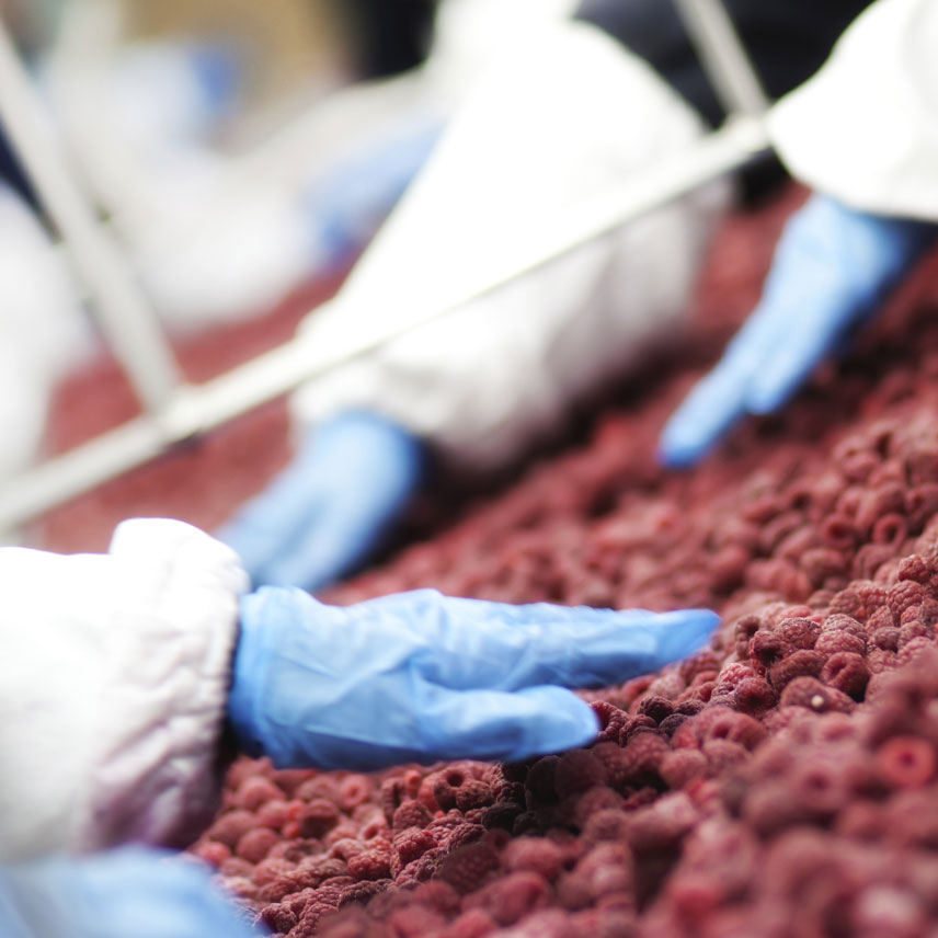 Level 2 Food Safety Manufacturing Safe Education