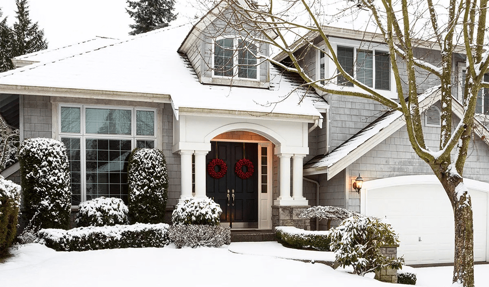 Can Termites Survive During the Cold Winter?