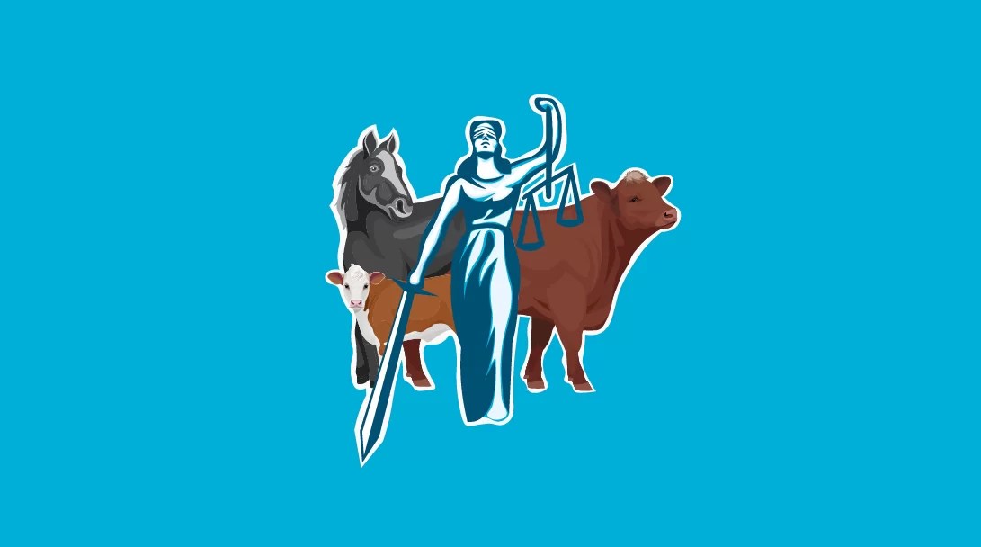 SAFE Animal Charity NZ Animal Rights Group