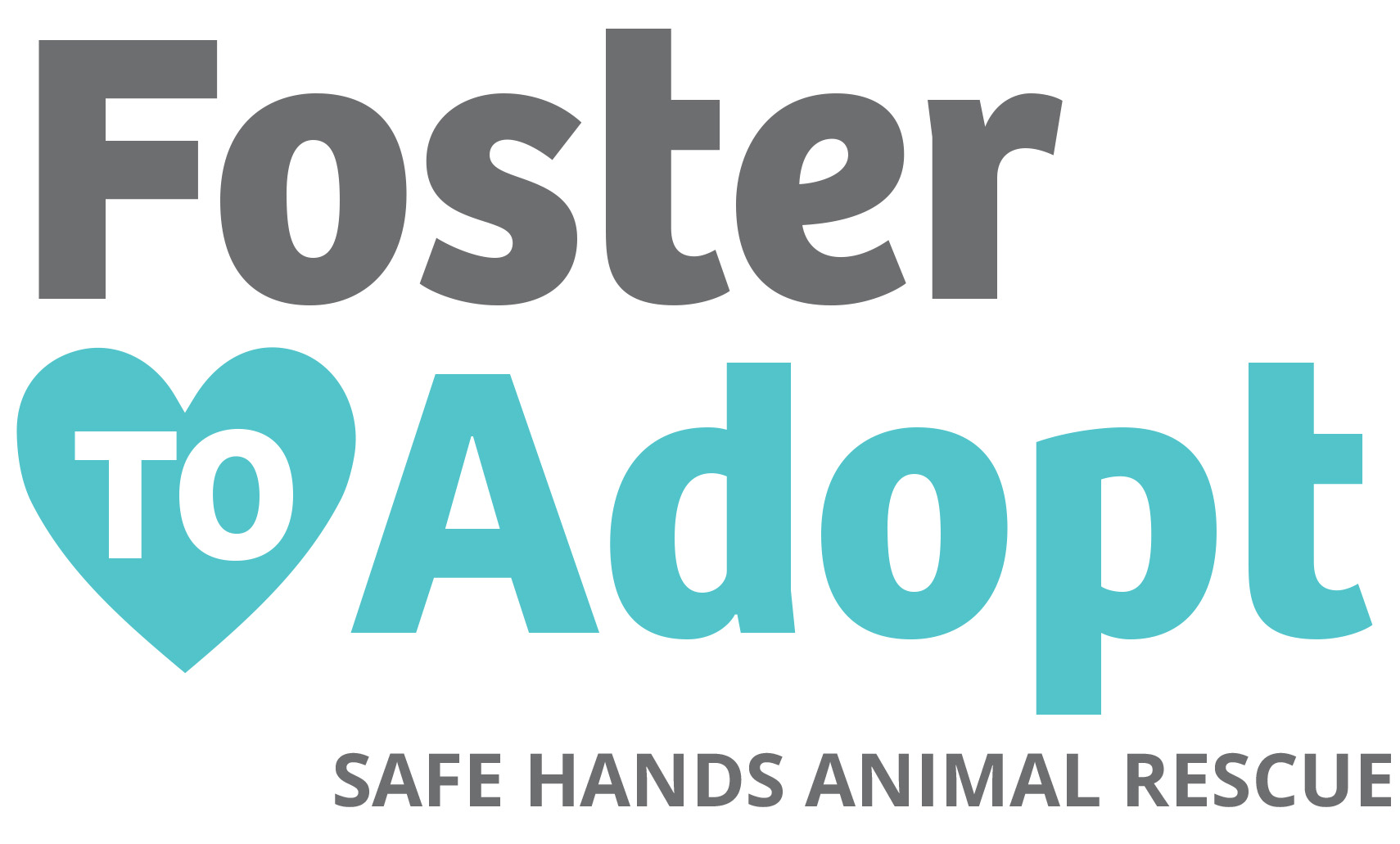Dog Foster To Adopt Safe Hands Rescue