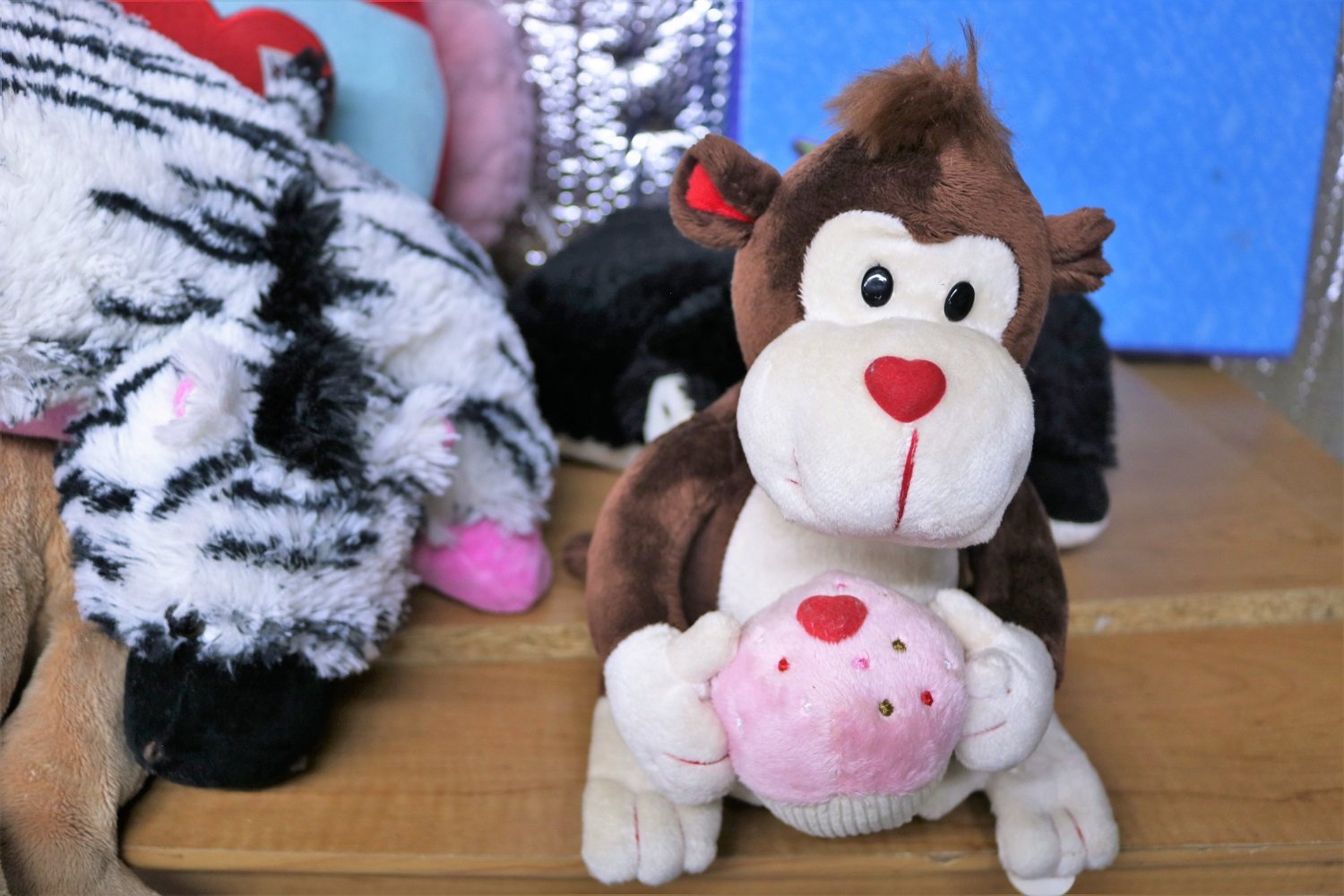 Fordland, MO SafeHaven Now Food Pantry and Thrift Store